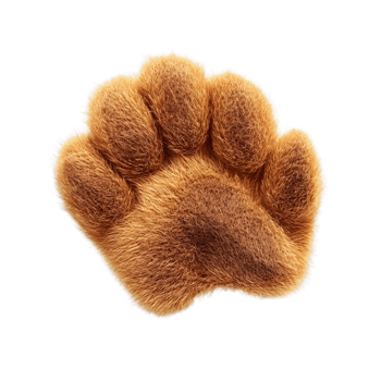 Paw print is shown on a white background png