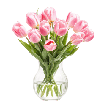 a vase with pink tulips in it on a transparent background png
