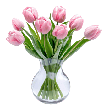 a vase with pink tulips in it isolate on transparent background png