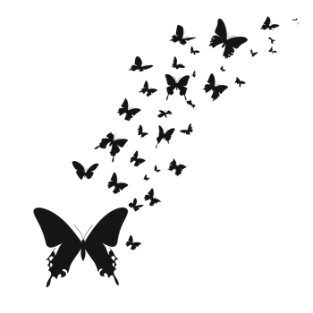 Silhouettes of butterflies cascading across a transparent background highlighting their elegant shapes and movements at dusk, Butterflies silhouette black background on transparent background png