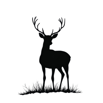 Silhouette of a deer standing gracefully on a transparent background, highlighting its antlers and serene posture, silhouette of deer on transparent background png