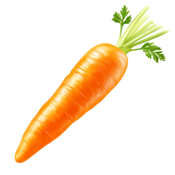 Fresh carrot isolated on a transparent background showcasing its vibrant orange color and green leaves, Carrot isolated on trransparent png