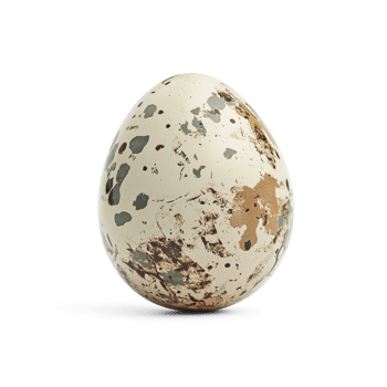an egg with speckles on it is shown png