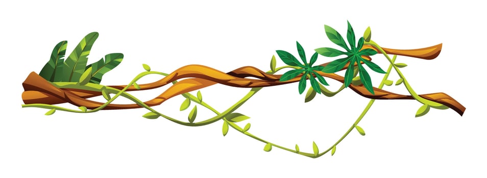 Tropical vine plants with lush leaves curling along liana branches. Cartoon illustration vector