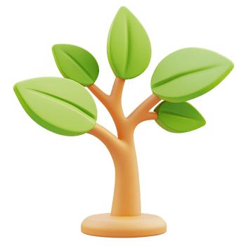 Young tree sapling growth, isolated, 3D render, nature background, website png