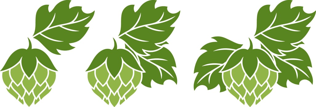 Hop cone set icon Design element for restaurant menu craft beer pub brewery collection vector