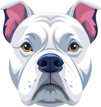 Bold and Striking American Bulldog Face Illustration vector