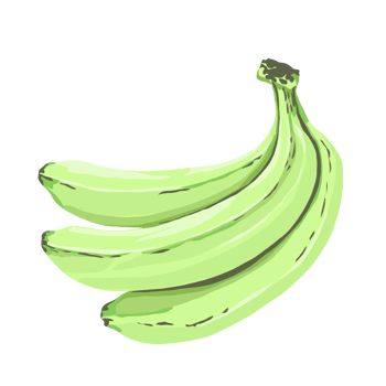 Hand drawn bunch of green bananas. Digital illustration with banana fruits png