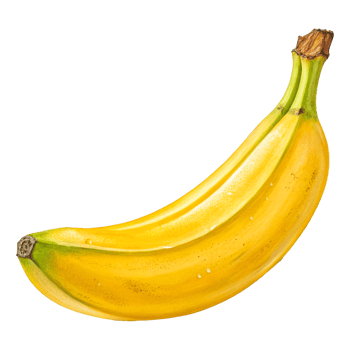 Photorealistic Banana Vibrant Yellow Glossy Skin High-Resolution Food Photography png