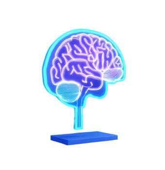 A glowing blue neon brain model showcasing intricate neural pathways and structures. png
