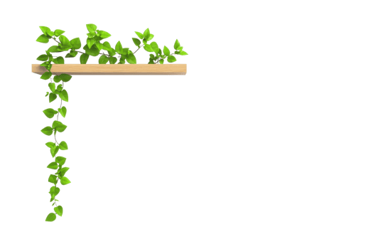 A lush green vine drapes down from a wooden shelf, showcasing vibrant leaves and adding a touch of nature. png