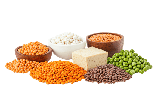 A variety of legumes and grains displayed in bowls, showcasing vibrant colors and diverse textures. png