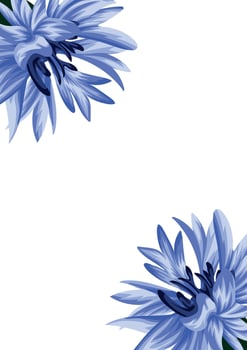 holiday invitation or greeting card template with a plant design of various cornflower on both sides vector