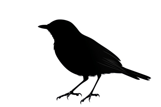 Silhouette of a bird perched elegantly, capturing the essence of simplicity and grace against a transparent background. png