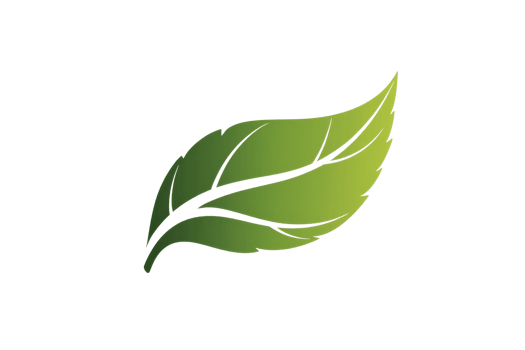 Vibrant green leaf with detailed texture, symbolizing nature and growth. Perfect for eco-friendly themes or botanical designs. png