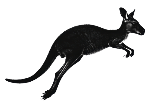 Sleek black kangaroo silhouette in motion against transparent background, illustrating dynamic movement and unique design. png