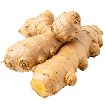 Ginger root harvesting close-up images culinary environment studio view fresh produce concept png