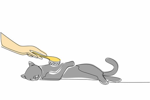 Single one line drawing hand combing a sleeping cat with an animal comb. Simple care that requires patience. Concern. National Hairball Awareness Day design graphic. Continuous line illustration vector