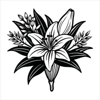Hand Drawn White Background vector