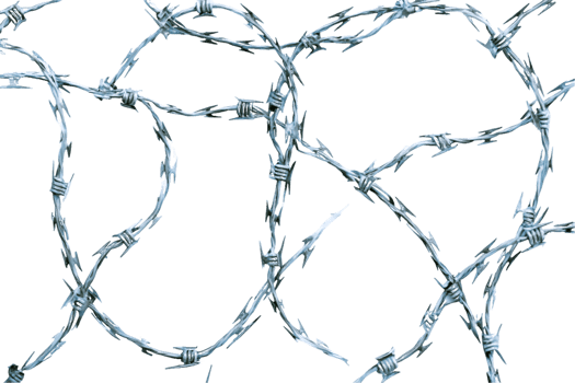 Intricate Barbed Wire Pattern png