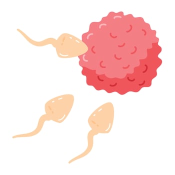 Active sperm cells swim to the egg vector