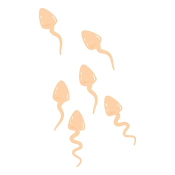 sperm reproduction illustration element vector