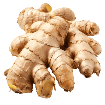 Pile of Fresh Ginger Roots Isolated on Transparent Background png