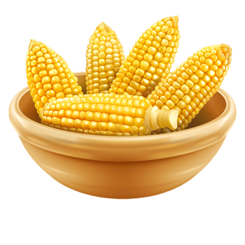Corn on the Cob in a Bowl isolated on transparent background png