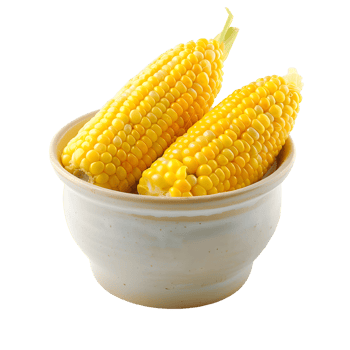 Two corn in a white bowl isolated on transparent background png