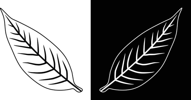 Detailed Black and White Leaf, Illustration on Contrasting Backgrounds. vector