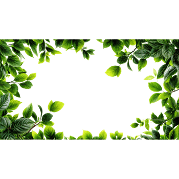Green leaves frame png