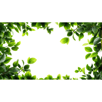 Green leaves frame png