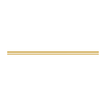 Aesthetic gold double line png