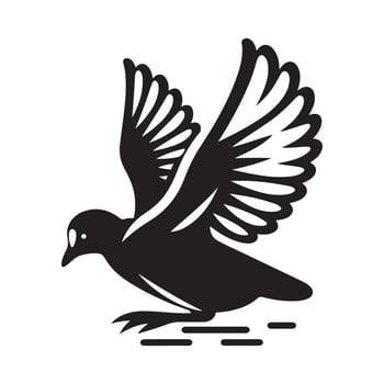 Stylized White-Winged Coot Silhouette Vectors for Bird and Nature Art