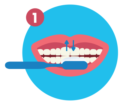 First of How to Brush Your Teeth Step by Step Instruction Flat Illustration png