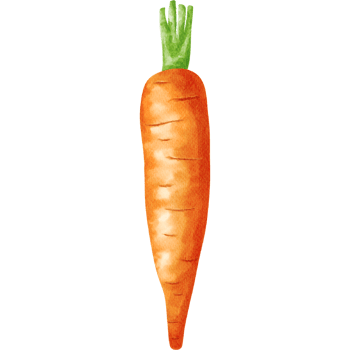 Carrot Vegetable Watercolor Ilustration png