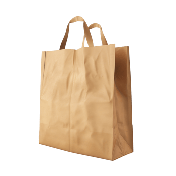 Paper Bag Concept Model with Plastic Elements png