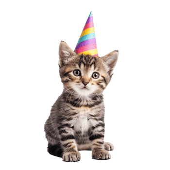 Adorable Kitten Wearing Rainbow Party Hat Happy Birthday Celebration png