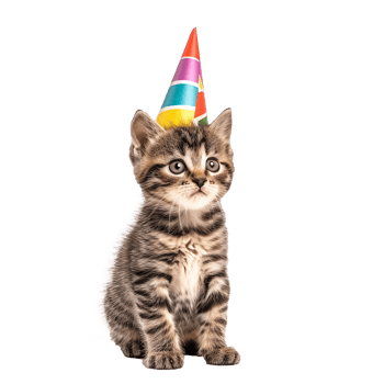 Adorable Kitten Wearing Party Hat Festive Celebration Cute Pet png