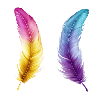 Two Colorful Feathers Gradient Design White Background png