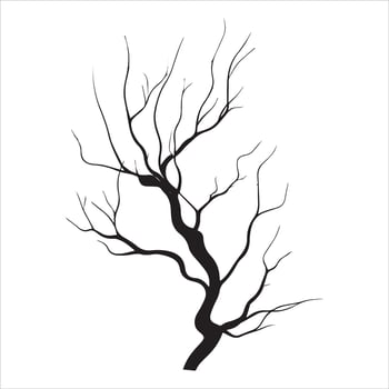 Serene Tree Branch Shadow Design vector