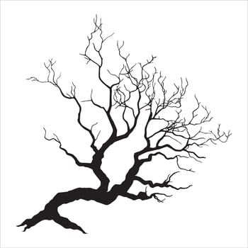 Elegant Tree Branch Silhouette Art vector