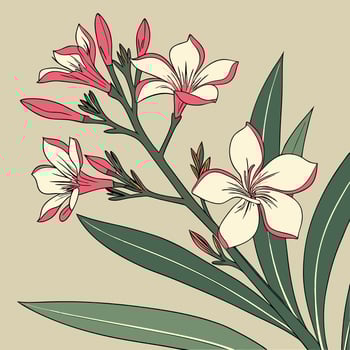 The illustration of oleander flower vector