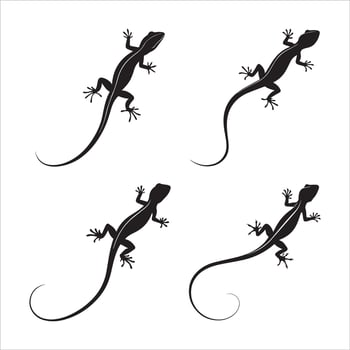 Lizard Silhouettes Collection vector