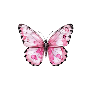 A pink butterfly on a black background png
