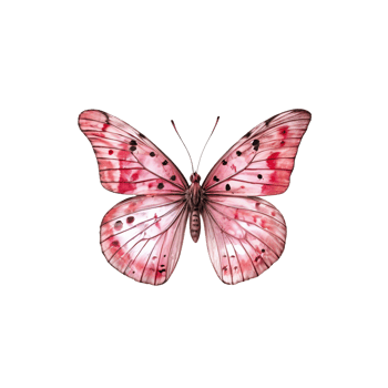 A pink butterfly is shown on a black background png