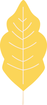 plant leaf flower Icon png
