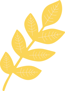 isolated plant leaf flower cartoon Icon png