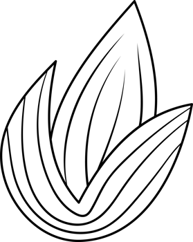 Stylized Rice Leaf Graphic Illustration for Coloring Page png