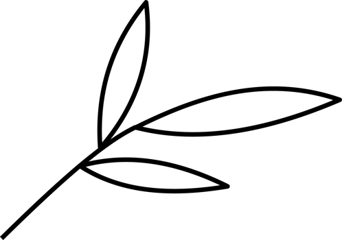 Minimalist White Leaf Design Graphic for Coloring Page png